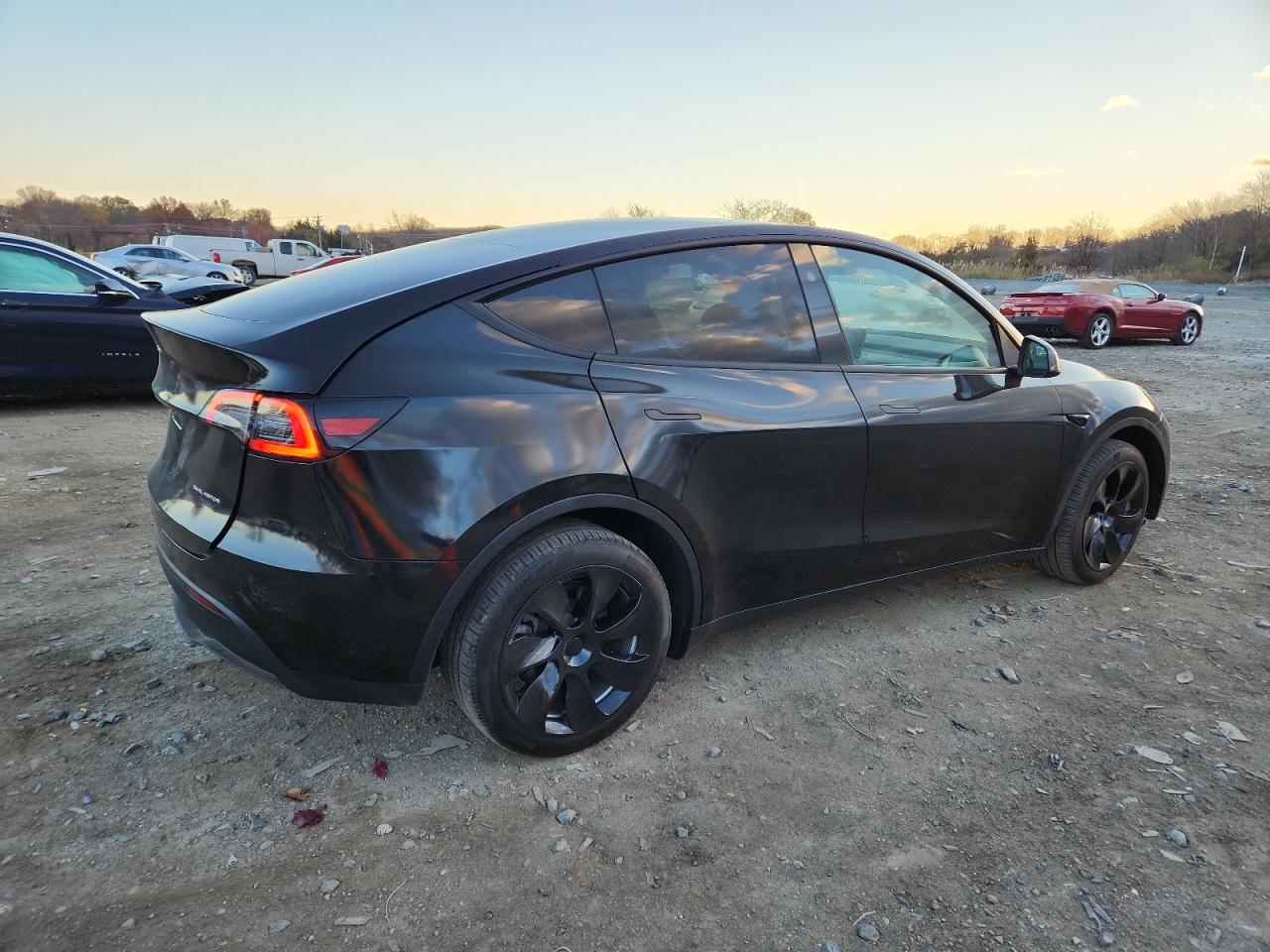 Tesla Model Y Image 5