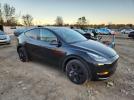 Tesla Model Y Image 11