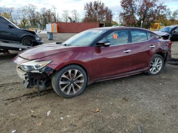  Salvage Nissan Maxima