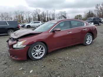  Salvage Nissan Maxima