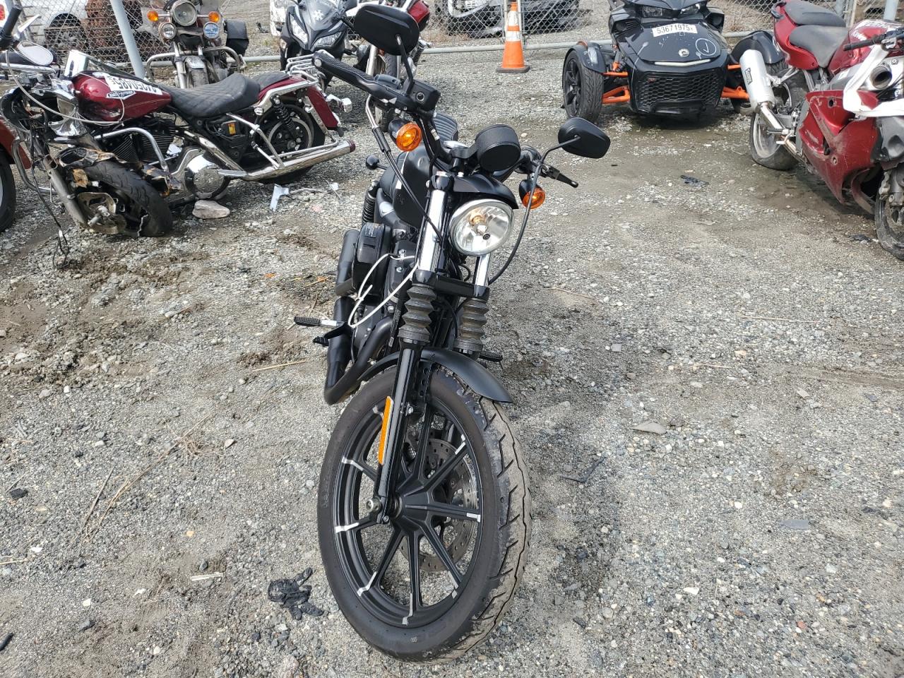 Harley-Davidson Xl883 N N Image 6