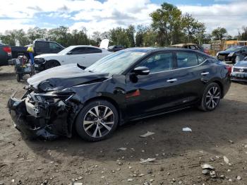  Salvage Nissan Maxima