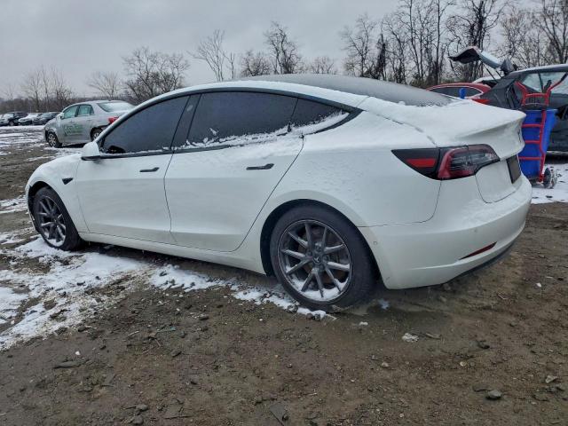 Tesla Model 3 Image 2