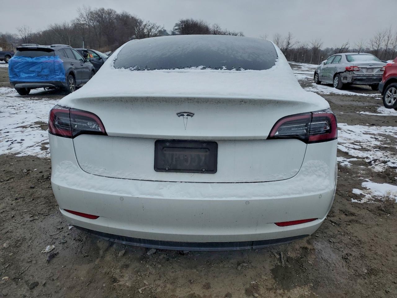 Tesla Model 3 Image 7