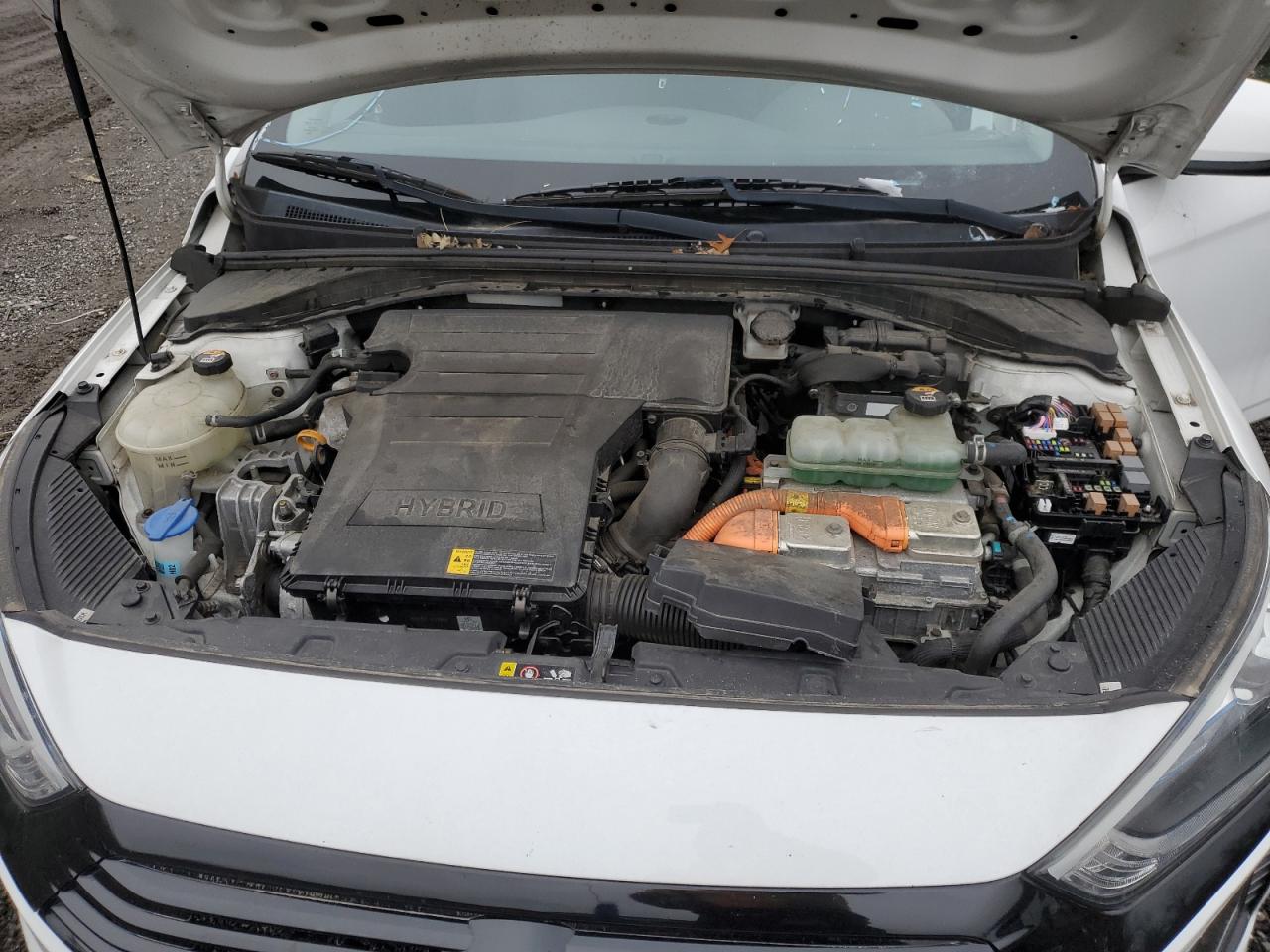 Hyundai Ioniq Blue Image 7