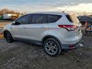 Ford Escape Sel Image 3