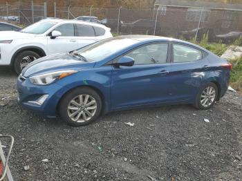  Salvage Hyundai ELANTRA