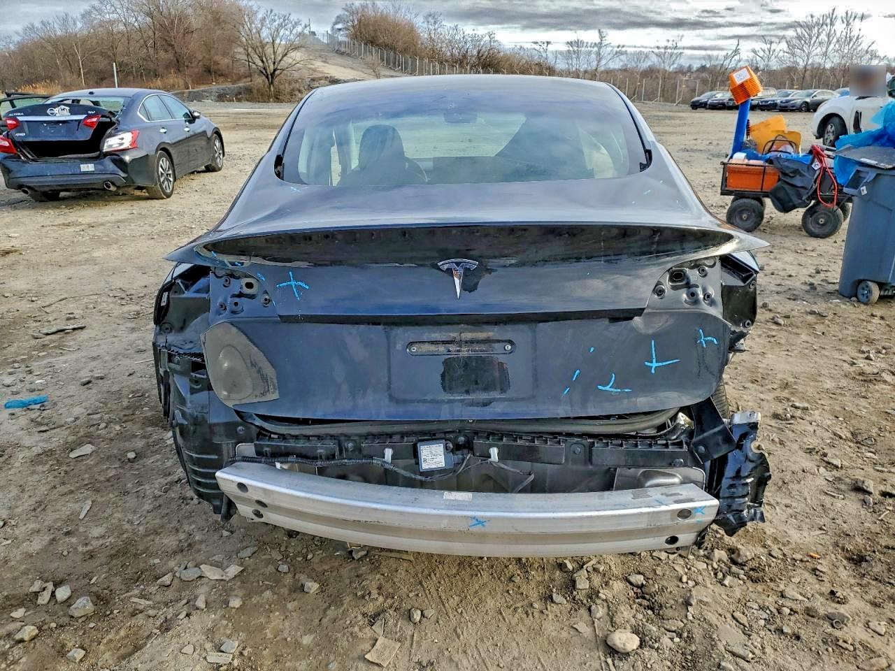 Tesla Model 3 Image 6