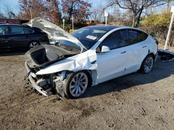  Salvage Tesla Model Y
