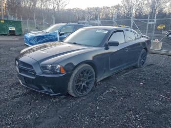  Salvage Dodge Charger