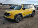 Jeep Renegade Trailhawk Image 1