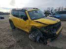 Jeep Renegade Trailhawk Image 5