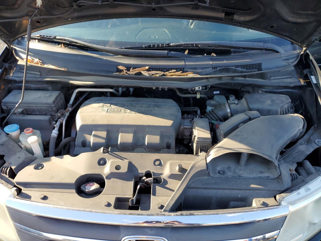 Honda Odyssey Exl Image 10