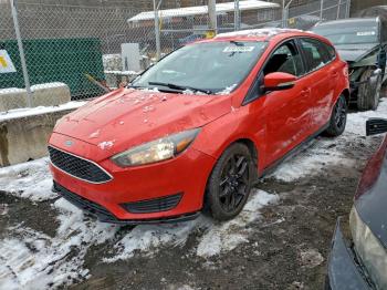  Salvage Ford Focus