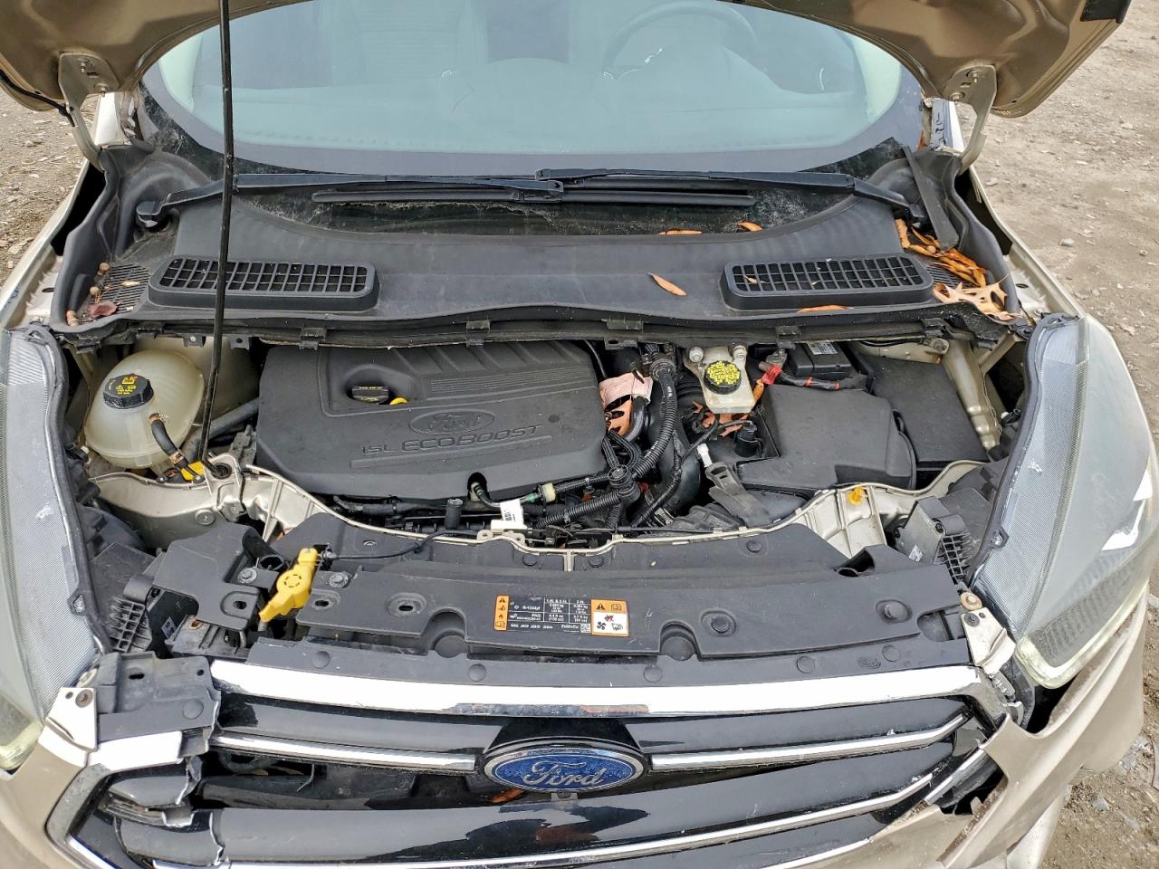 Ford Escape Se Image 11