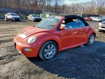  Salvage Volkswagen Beetle