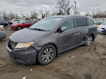  Salvage Honda Odyssey
