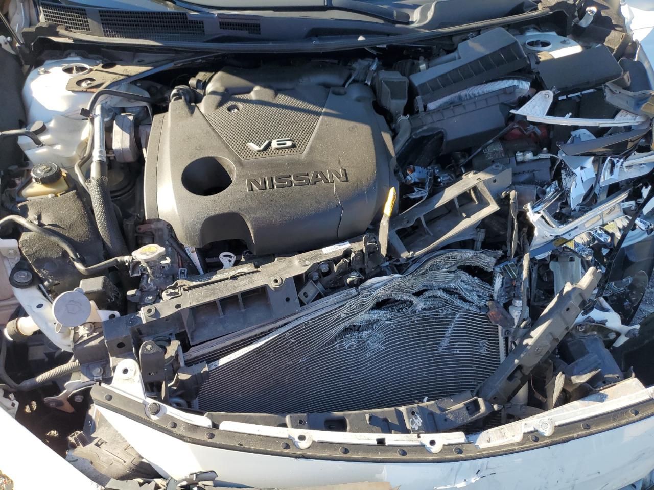 Nissan Maxima Sv Image 10