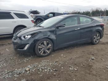  Salvage Hyundai ELANTRA