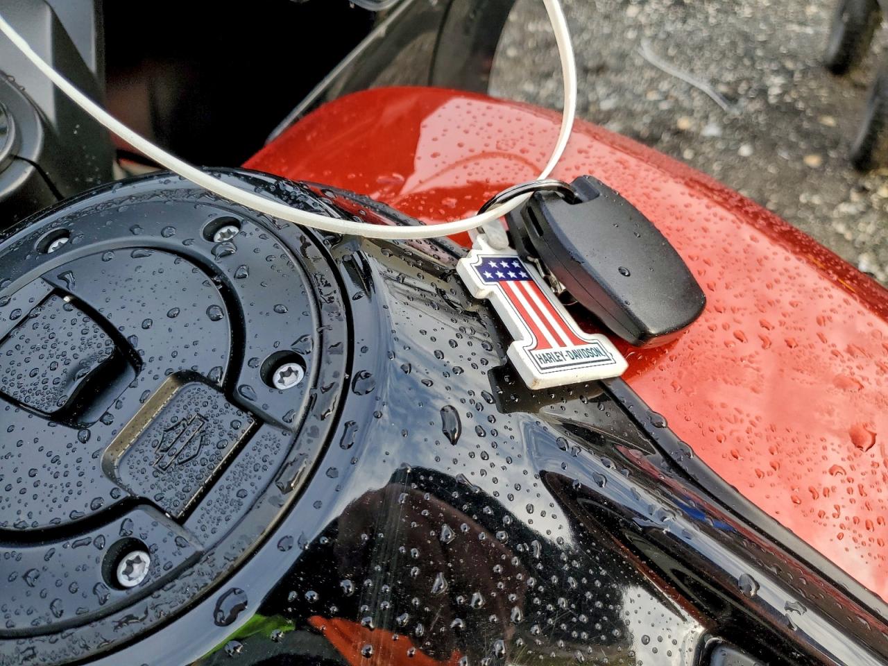 Harley-Davidson Fl Image 6