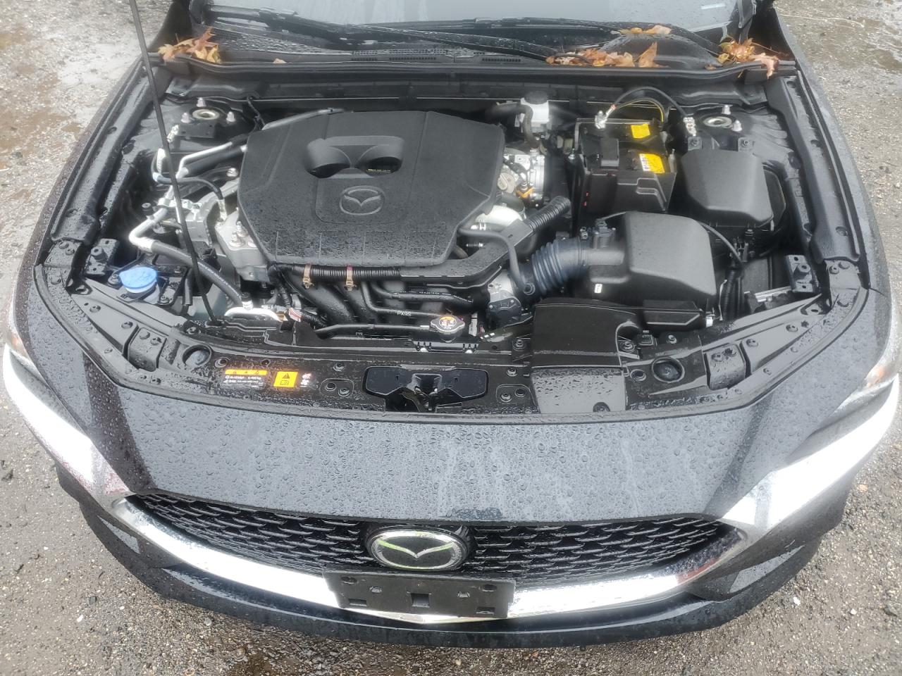 Mazda 3 Preferred Image 10