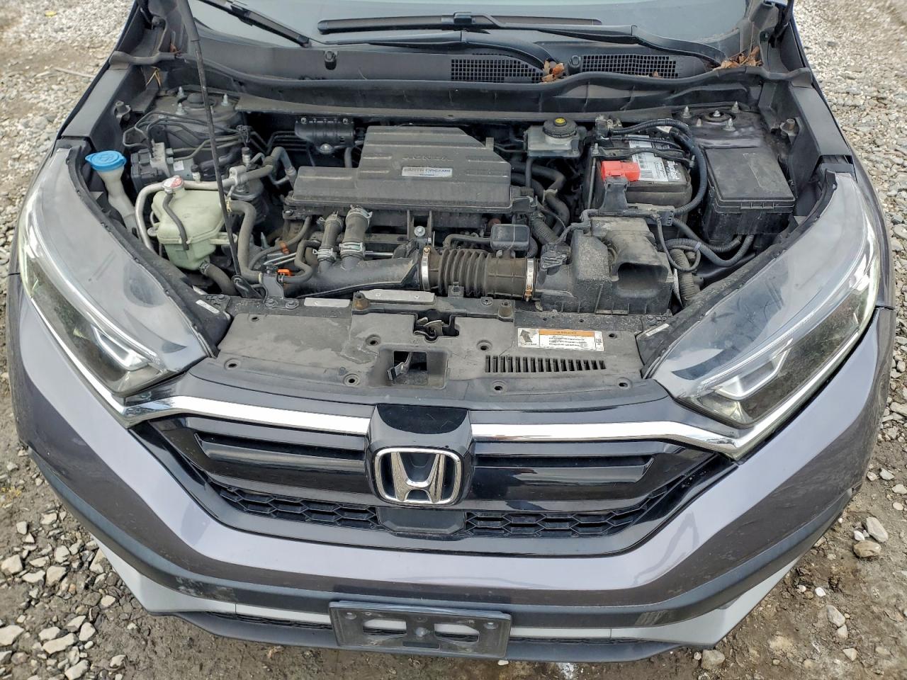 Honda Crv Lx Image 11