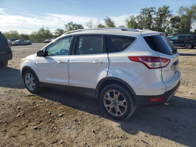 Ford Escape Titanium Image 5