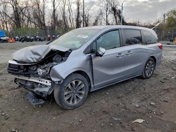  Salvage Honda Odyssey