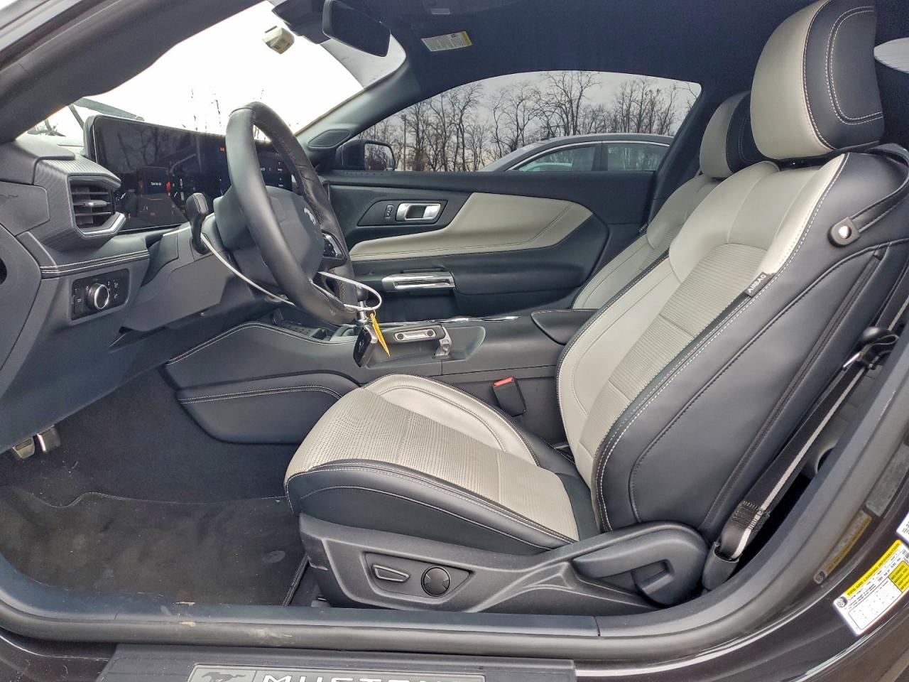 Ford Mustang Gt Image 6