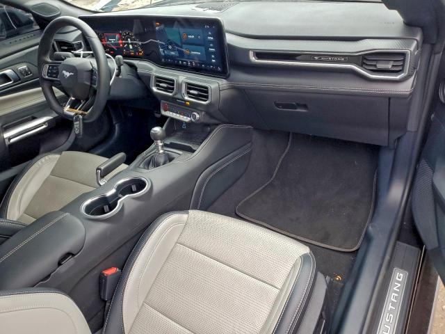 Ford Mustang Gt Image 11