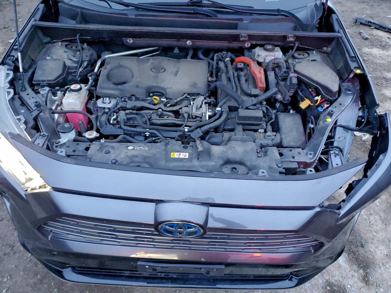 Toyota RAV4 Xse Image 13