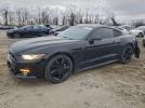 Ford Mustang Image 1