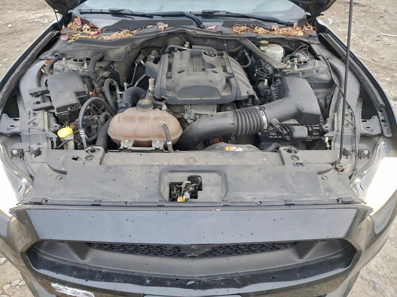 Ford Mustang Image 3