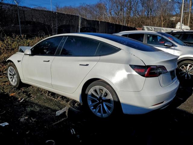 Tesla Model 3 Image 2