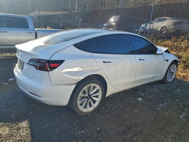 Tesla Model 3 Image 6