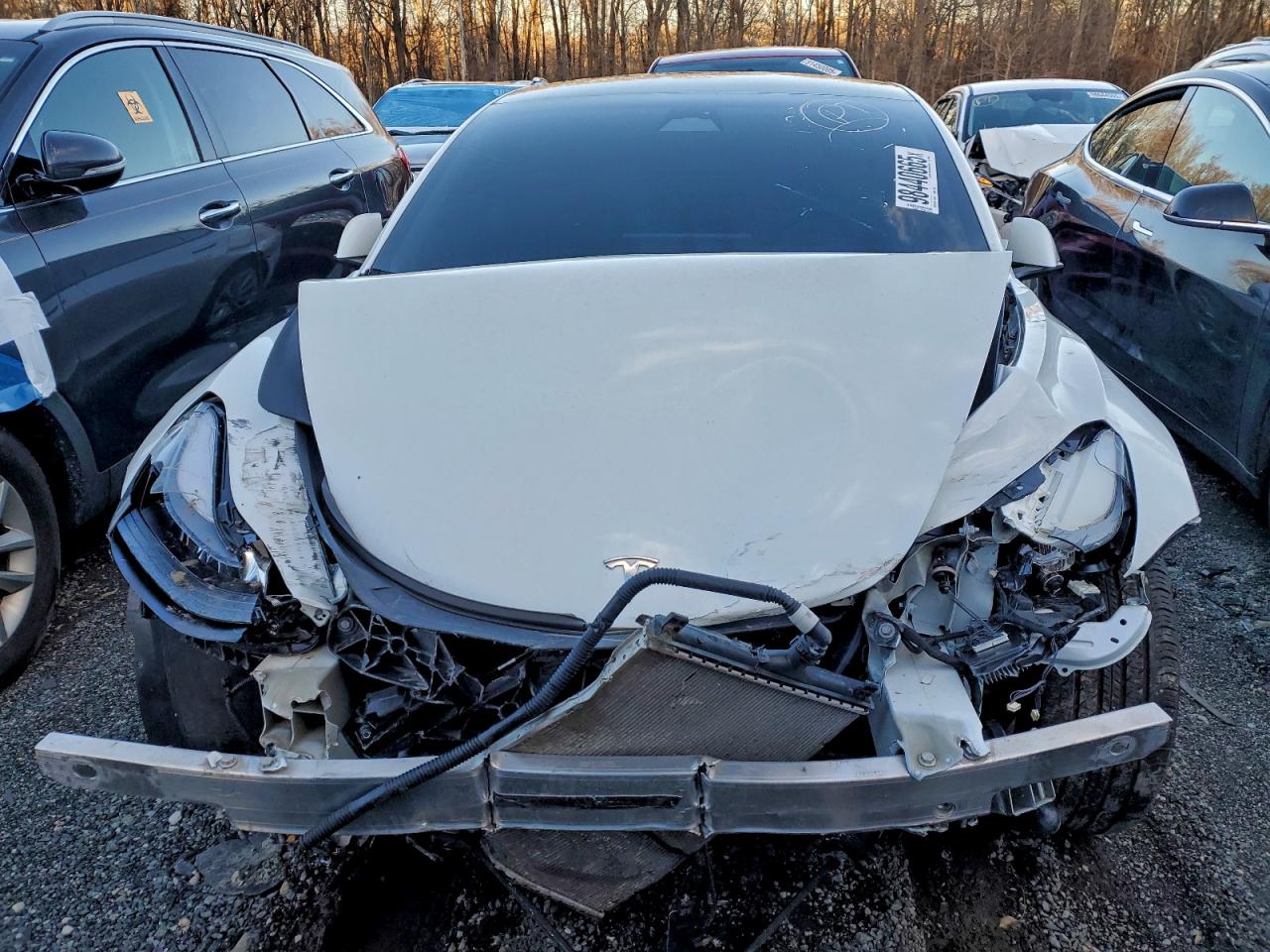 Tesla Model 3 Image 5