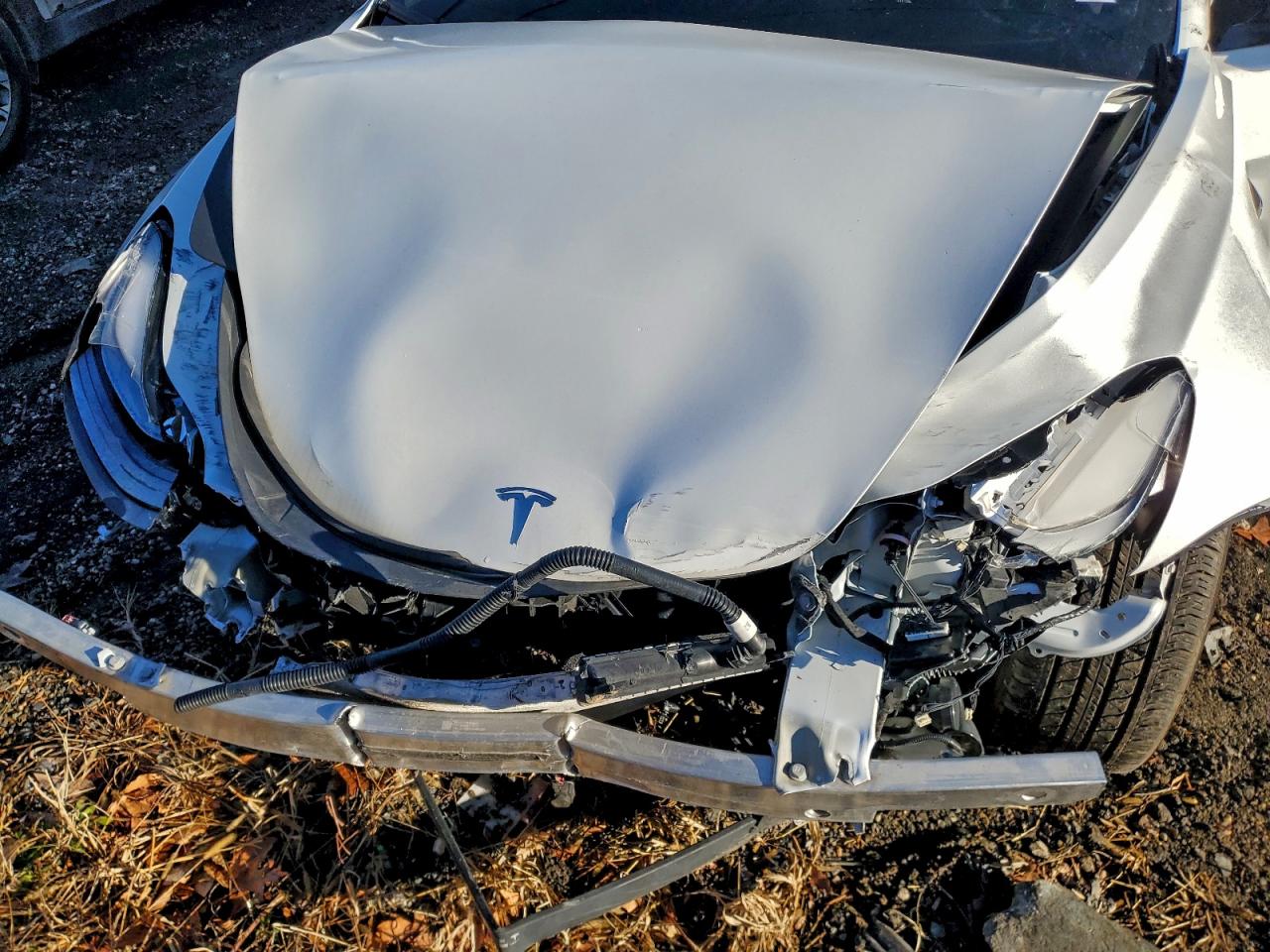 Tesla Model 3 Image 10