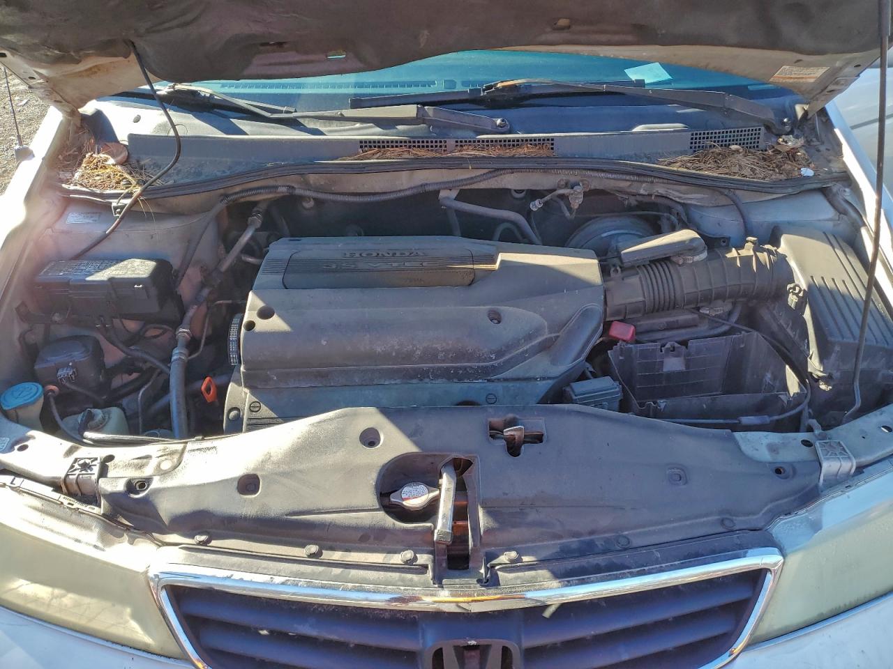 Honda Odyssey Exl Image 13