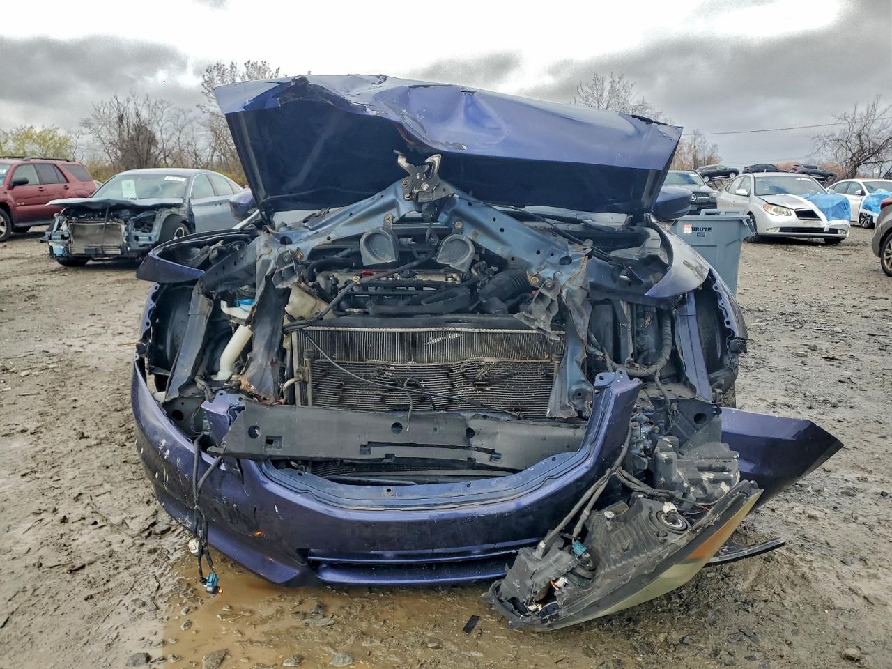 Honda Accord Exl Image 5