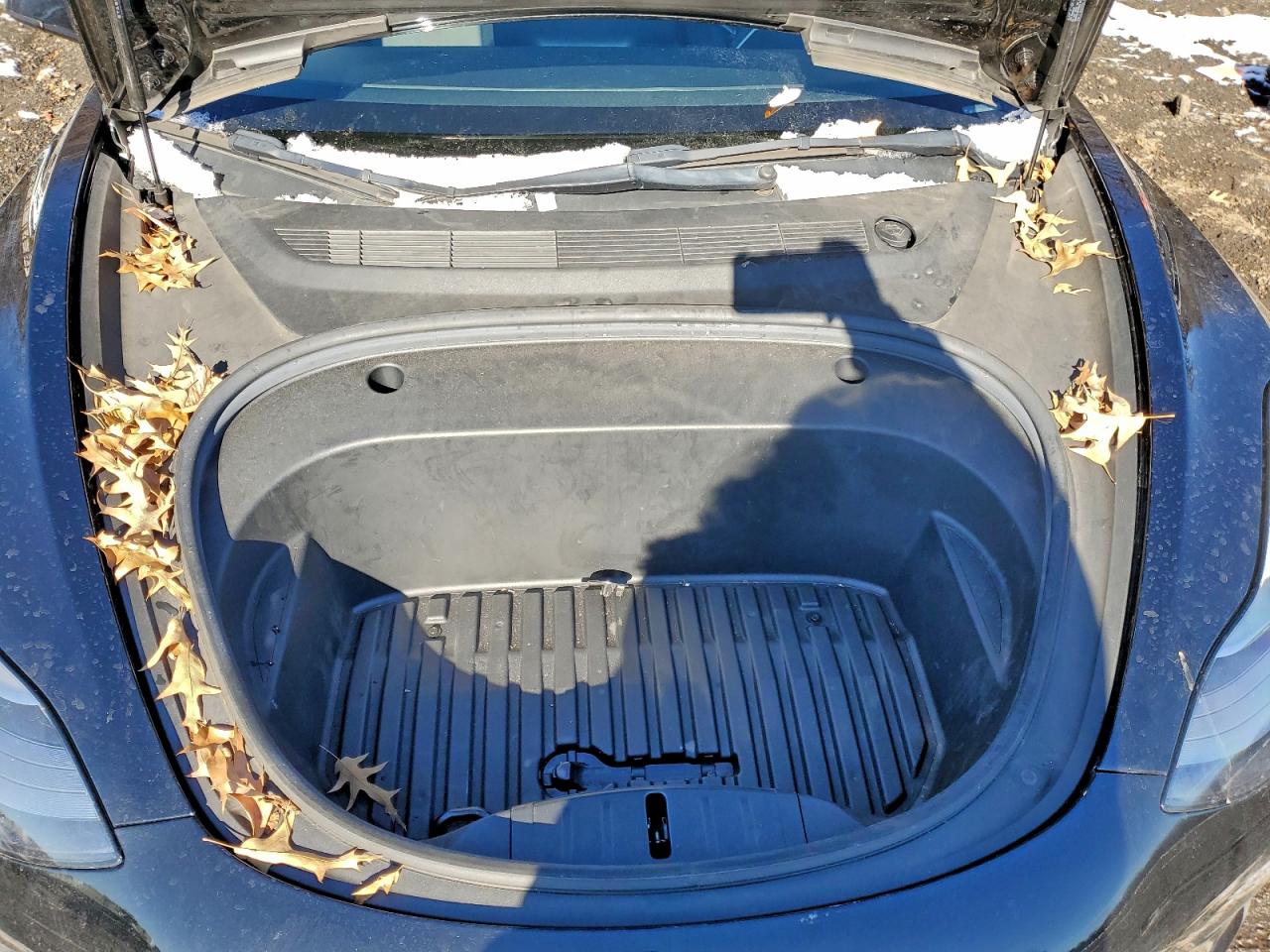 Tesla Model 3 Image 4