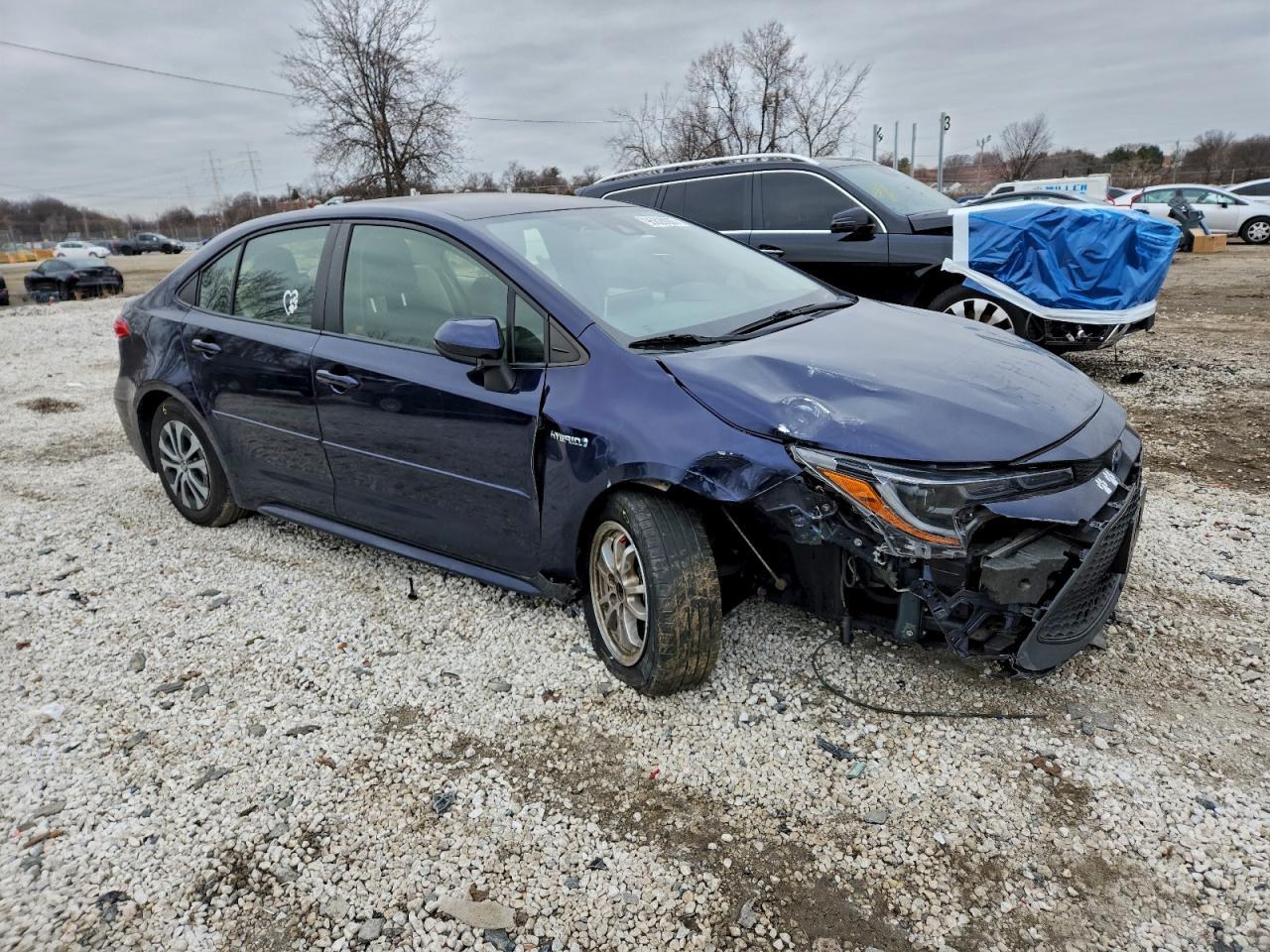 Toyota Corolla Le Image 6