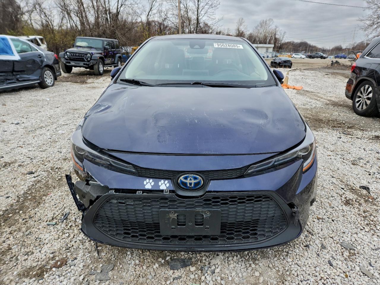 Toyota Corolla Le Image 8