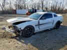 Ford Mustang Gt Image 1