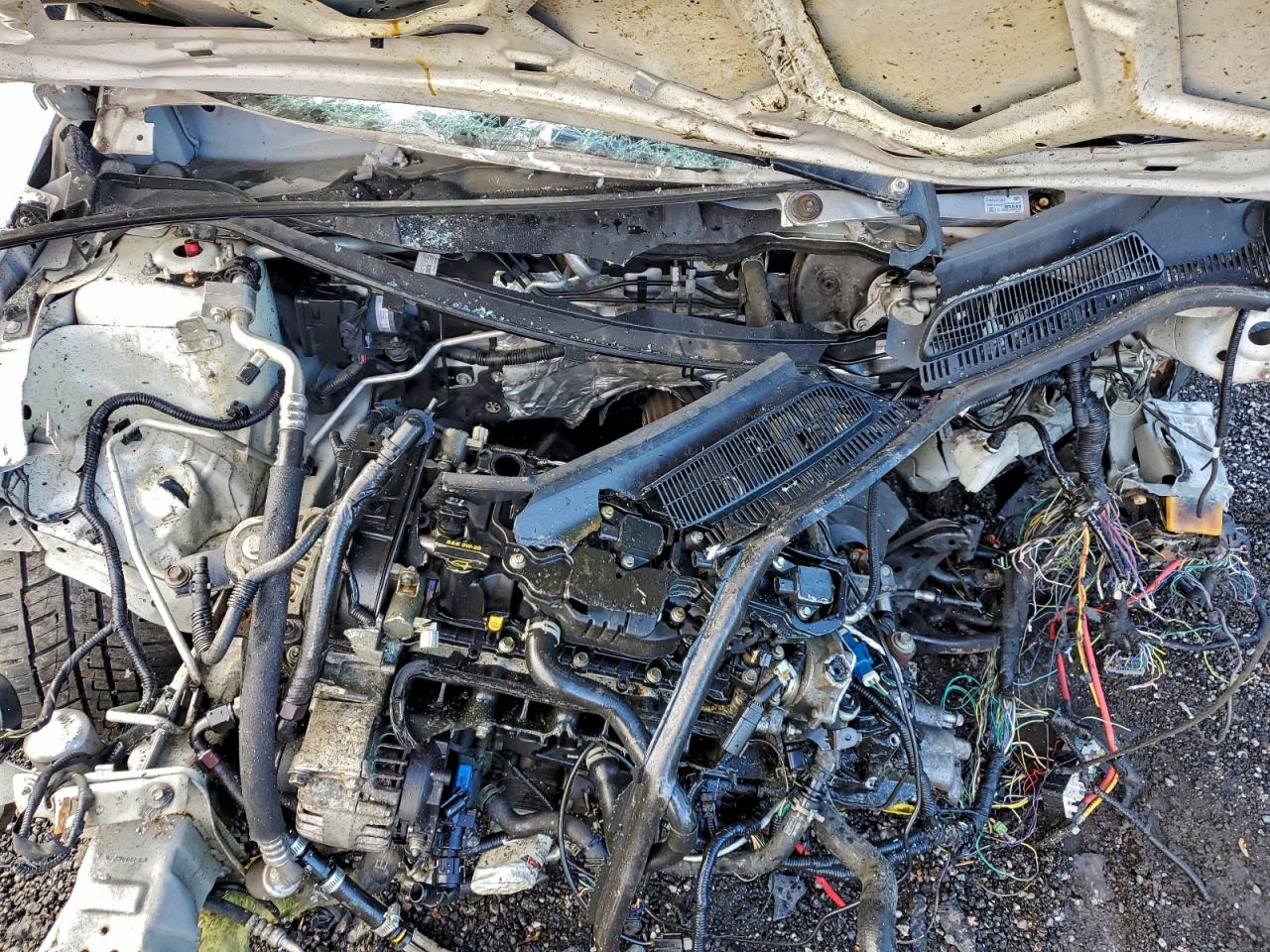 Ford Fiesta St Image 2