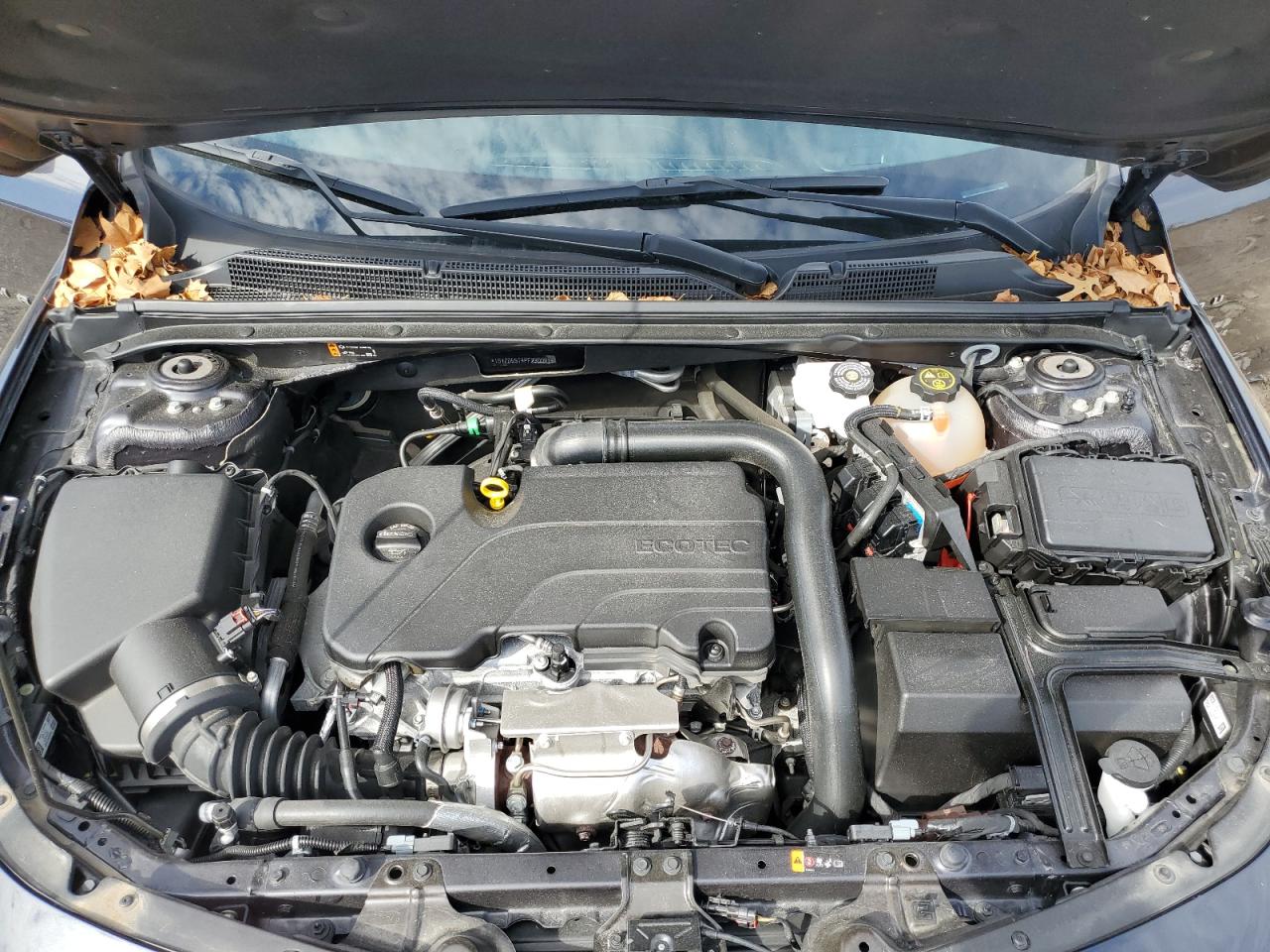 Chevrolet Malibu Lt Image 12