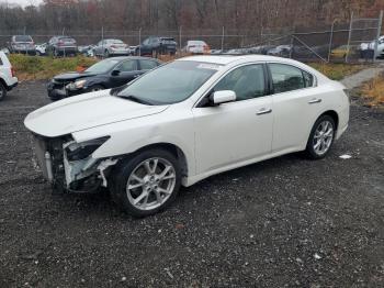  Salvage Nissan Maxima