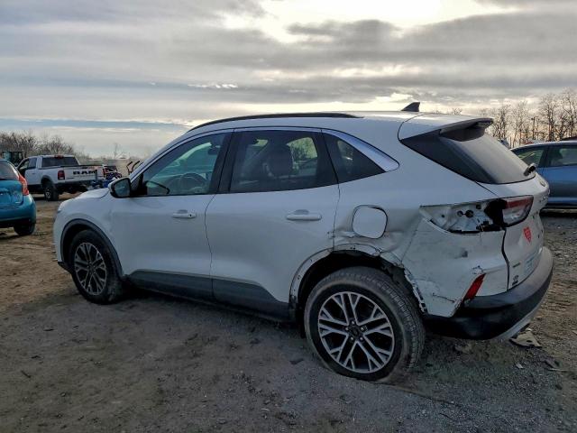 Ford Escape Sel Image 2