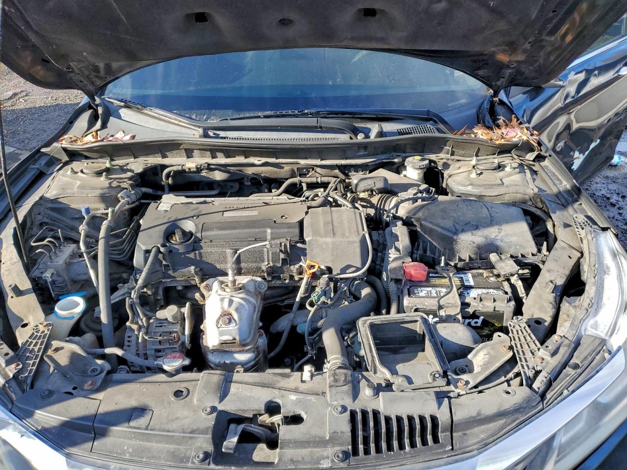 Honda Accord Lx Image 12