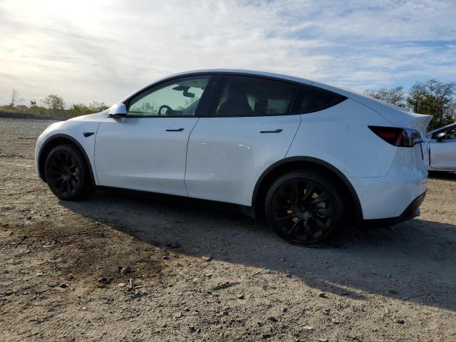 Tesla Model Y Image 2