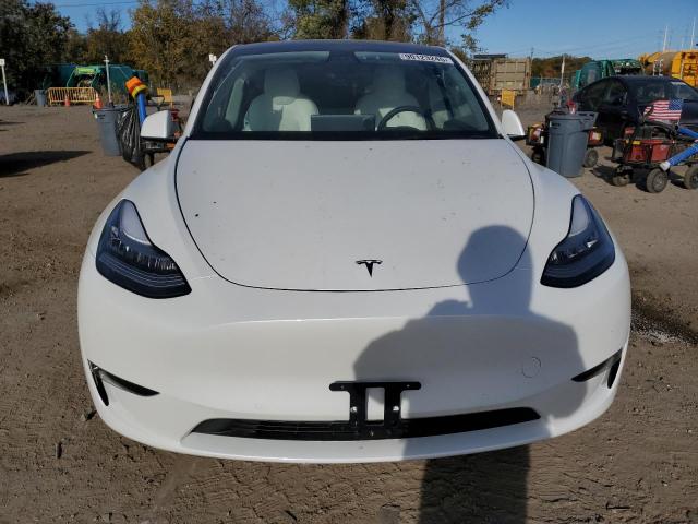 Tesla Model Y Image 8